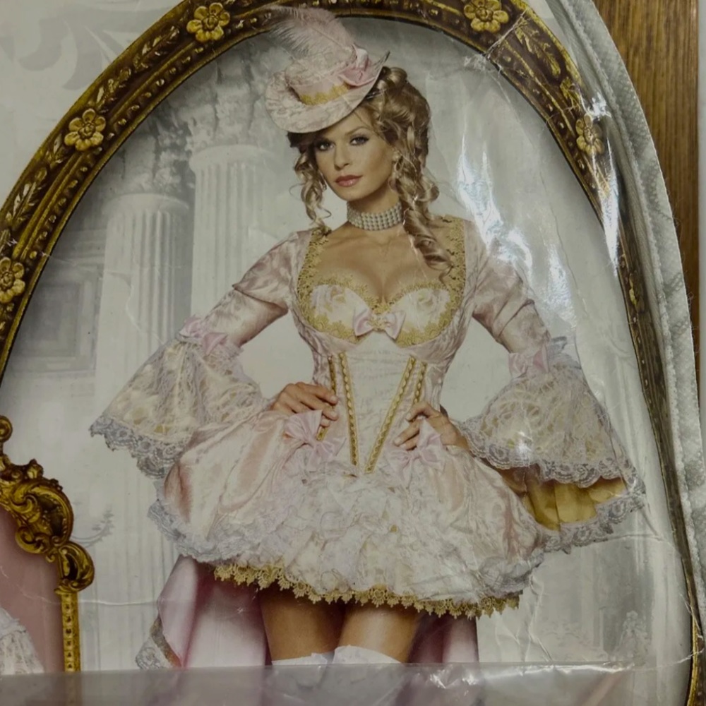 Vixen of Versailles costume